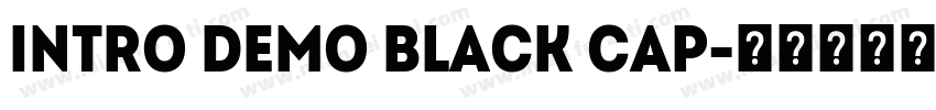 Intro Demo Black Cap字体转换
